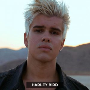 Raz Klinghoffer - Music Producer Los Angeles - Artist - Harley Bird